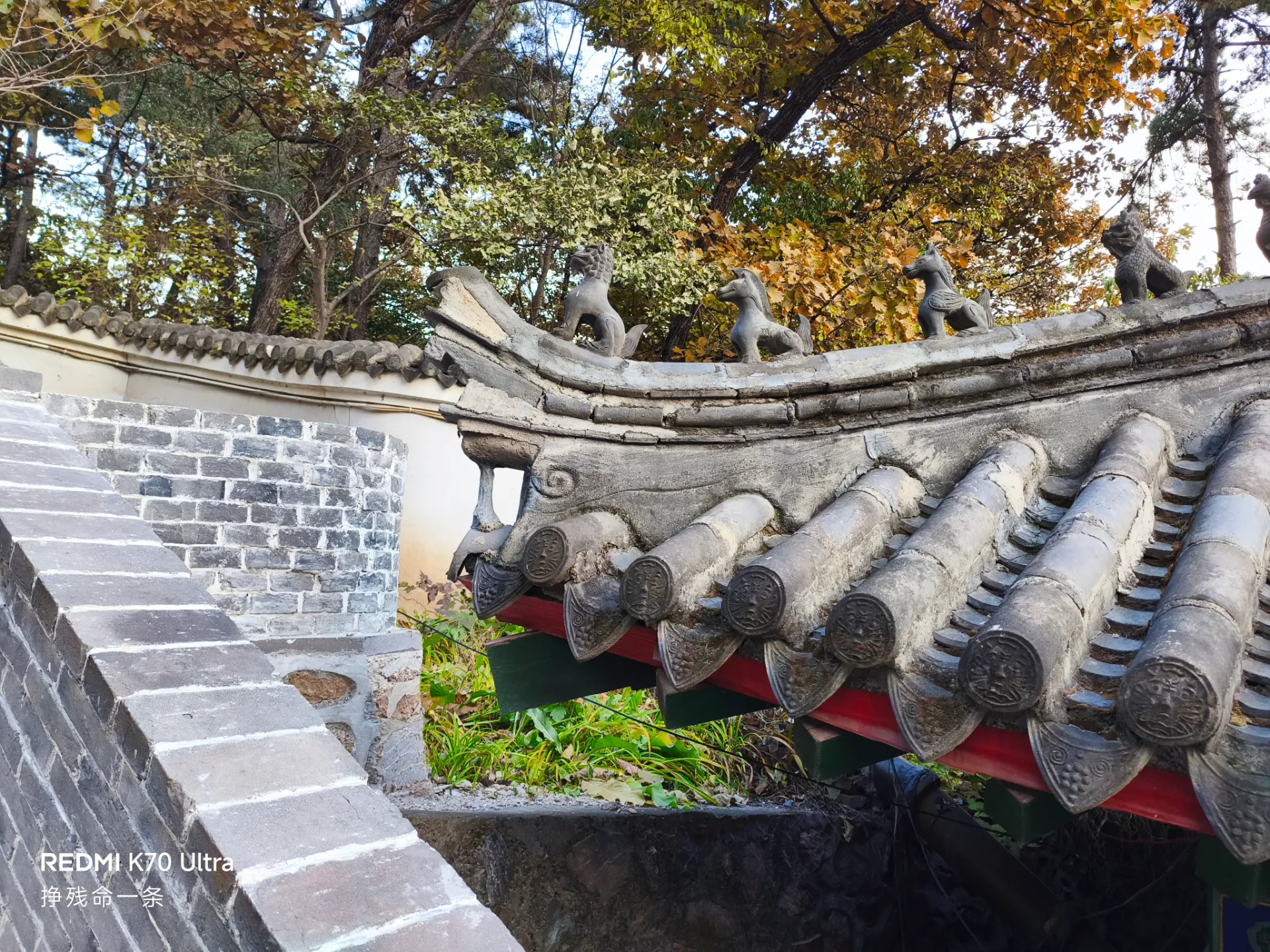 多少民力物力……