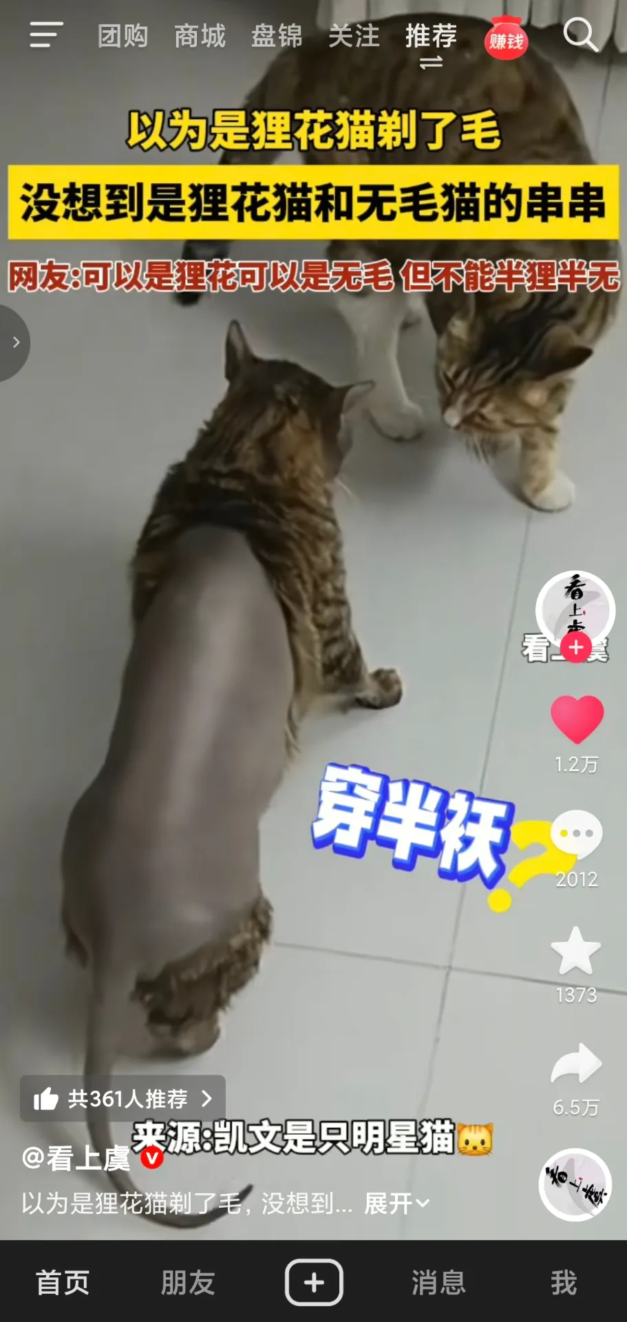 这是真的串还是造假？🤔