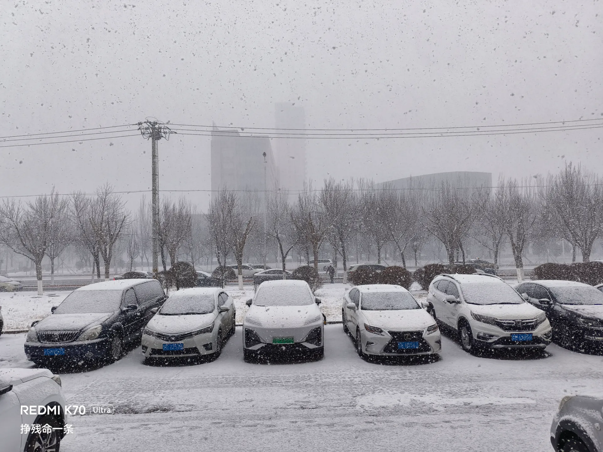 十点开始下雪了