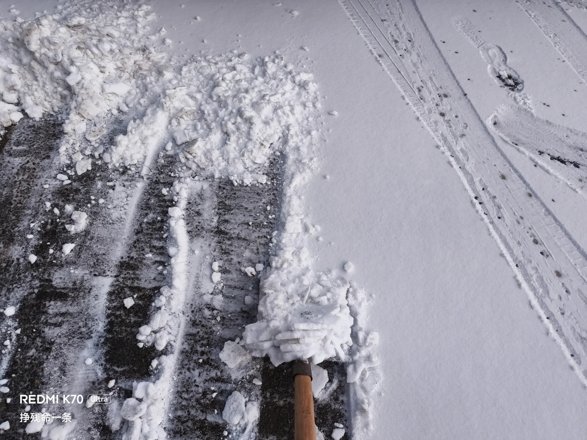 看来今天才是最后一场雪