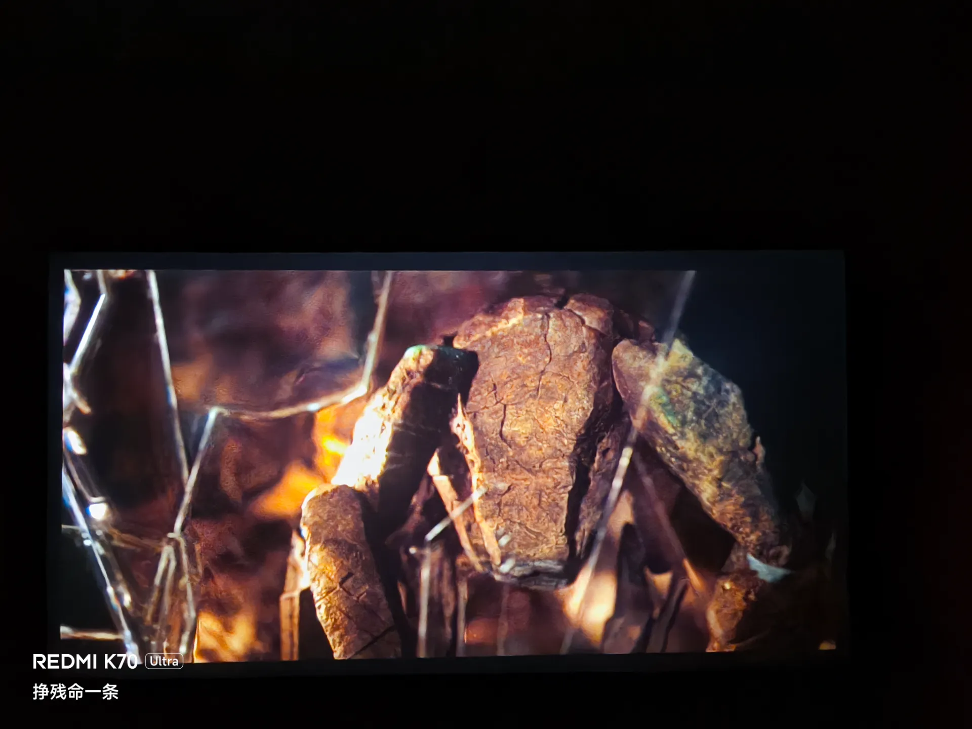 铁基生物好可爱😇