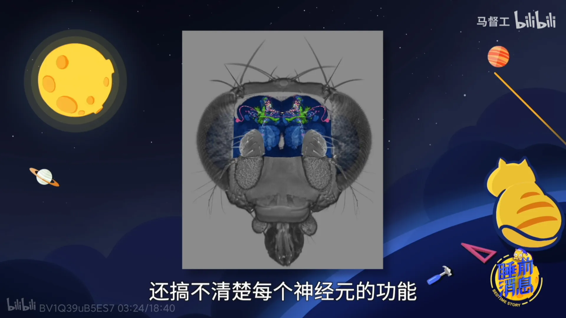 神经科学会有新的飞跃吗？