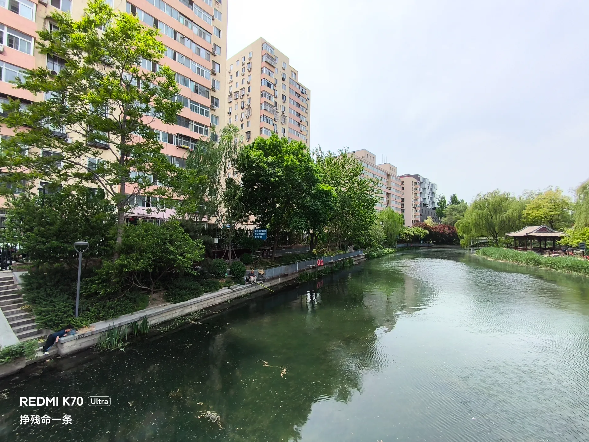 黄发垂髫，并怡然自乐？