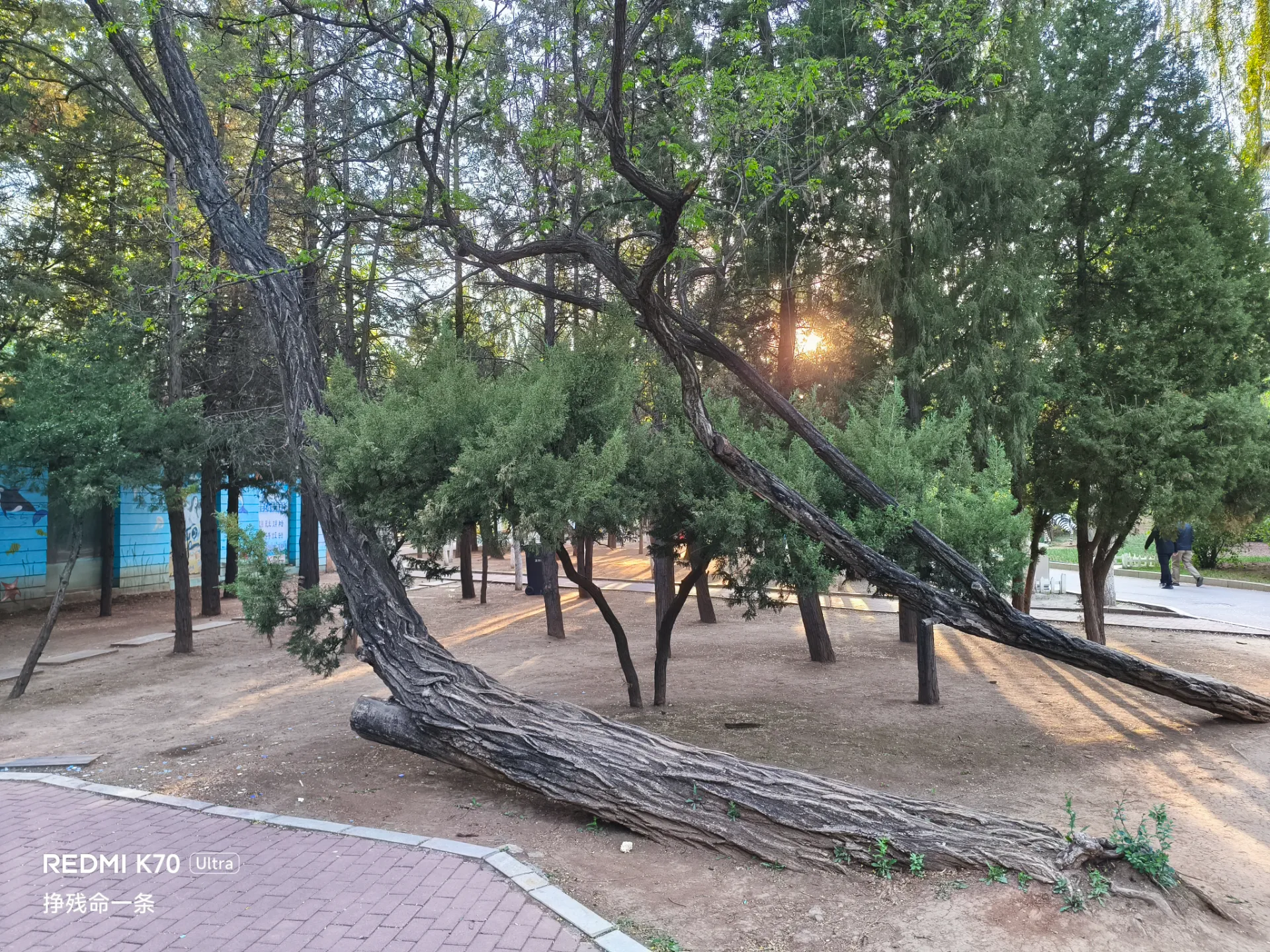 地点：营口人民公园·老海豹馆前