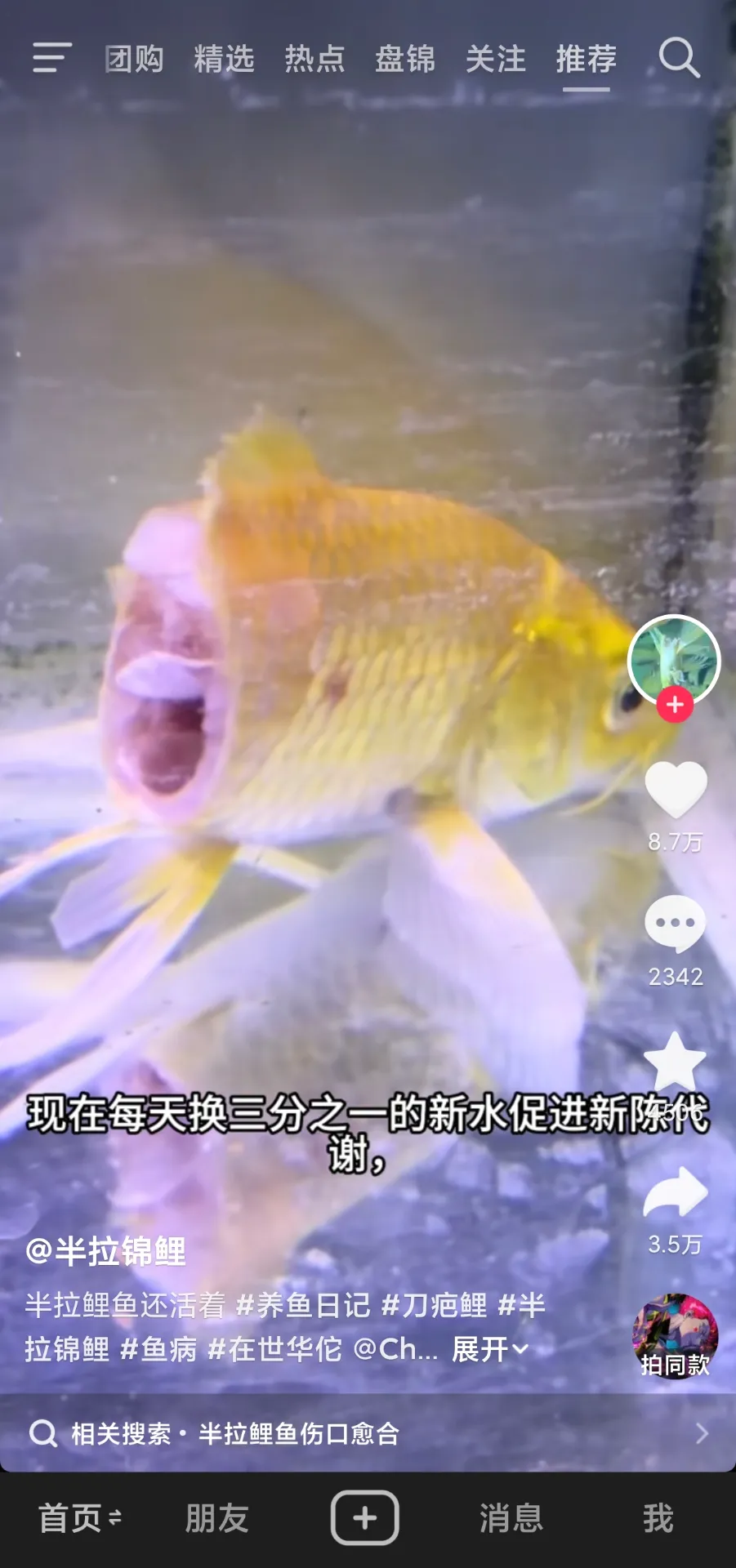 腰斩了还能活一个星期？🧐